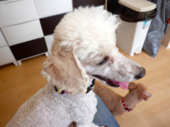 DSCF2544.JPG