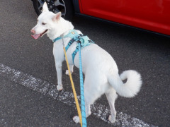DSCF2549.JPG