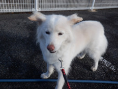 DSCF2573.JPG