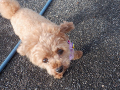 DSCF2580.JPG