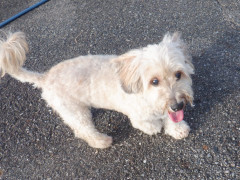 DSCF2565.JPG