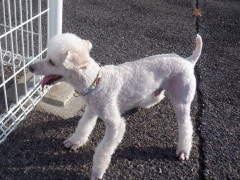 DSCF2558.JPG
