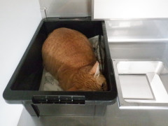DSCF2597.JPG