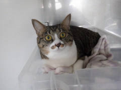 DSCF2598.JPG