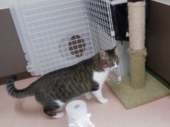DSCF2622.JPG