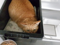 DSCF2641.JPG