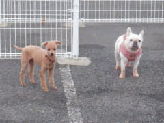 DSCF2643.JPG