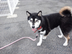 DSCF2676.JPG