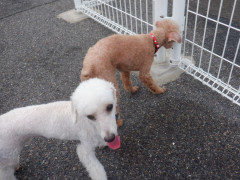 DSCF2657.JPG