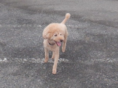 DSCF2645.JPG