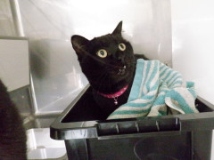 DSCF2682.JPG