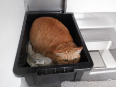 DSCF2684.JPG