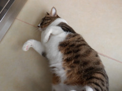 DSCF2689.JPG