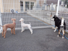 DSCF2700.JPG