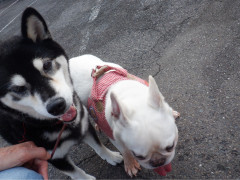 DSCF2722.JPG