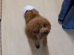 DSCF2750.JPG