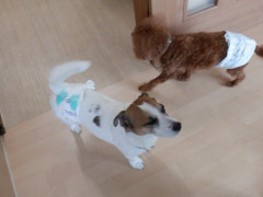 DSCF2748.JPG