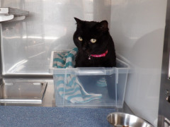 DSCF2740.JPG