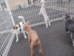 DSCF2755.JPG
