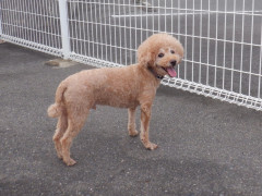 DSCF2775.JPG