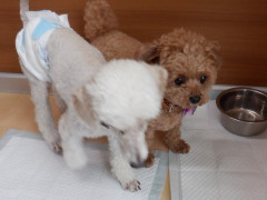 DSCF2790.JPG
