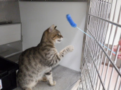 DSCF2782.JPG