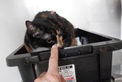 DSCF2795.JPG