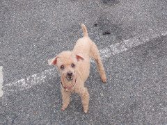 DSCF2804.JPG