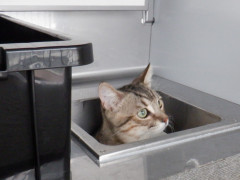 DSCF2811.JPG
