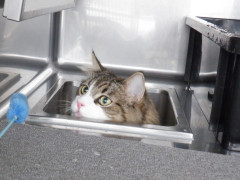 DSCF2820.JPG