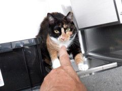 DSCF2823.JPG