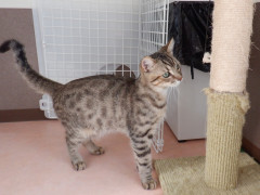 DSCF2832.JPG
