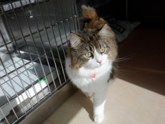 DSCF2839.JPG