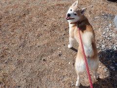 DSCF2841.JPG