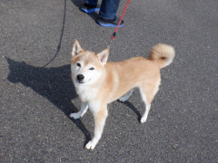 DSCF2861.JPG