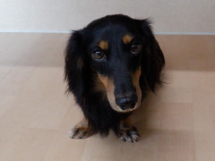 DSCF2865.JPG