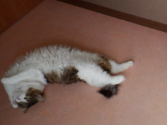DSCF2857.JPG