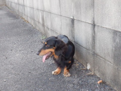DSCF2880.JPG