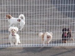 DSCF2885.JPG