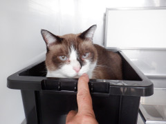 DSCF2912.JPG