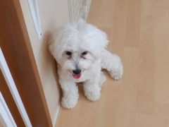 DSCF2915.JPG