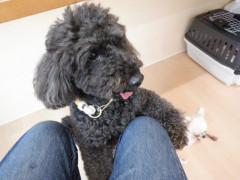 DSCF2922.JPG