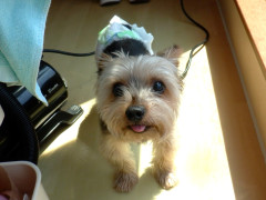 DSCF2929.JPG
