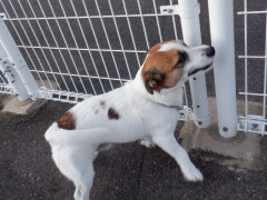 DSCF2940.JPG