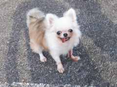 DSCF2949.JPG