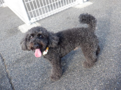 DSCF2942.JPG