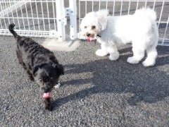 DSCF2955.JPG
