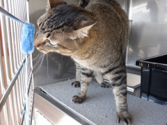 DSCF2962.JPG