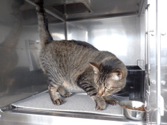 DSCF2979.JPG