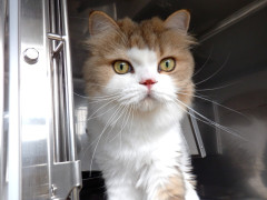 DSCF2983.JPG